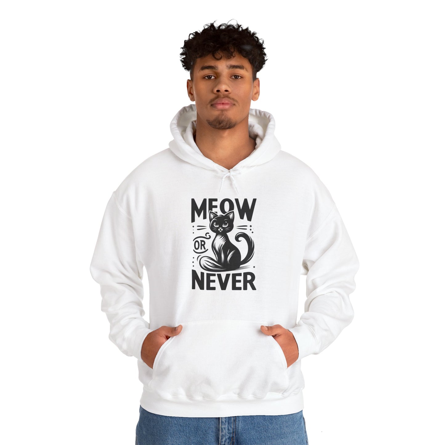 Meow or Never Hoodie