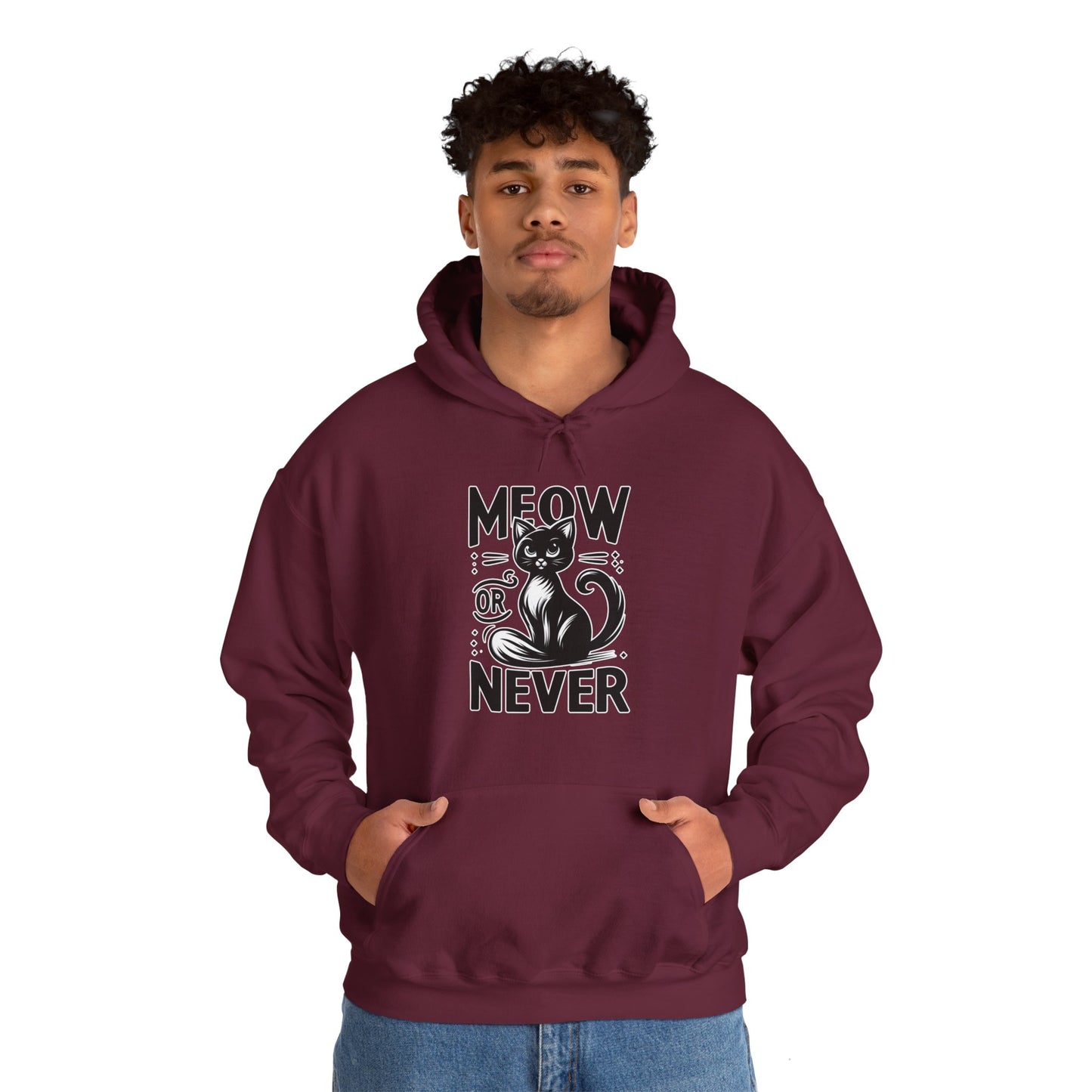 Meow or Never Hoodie