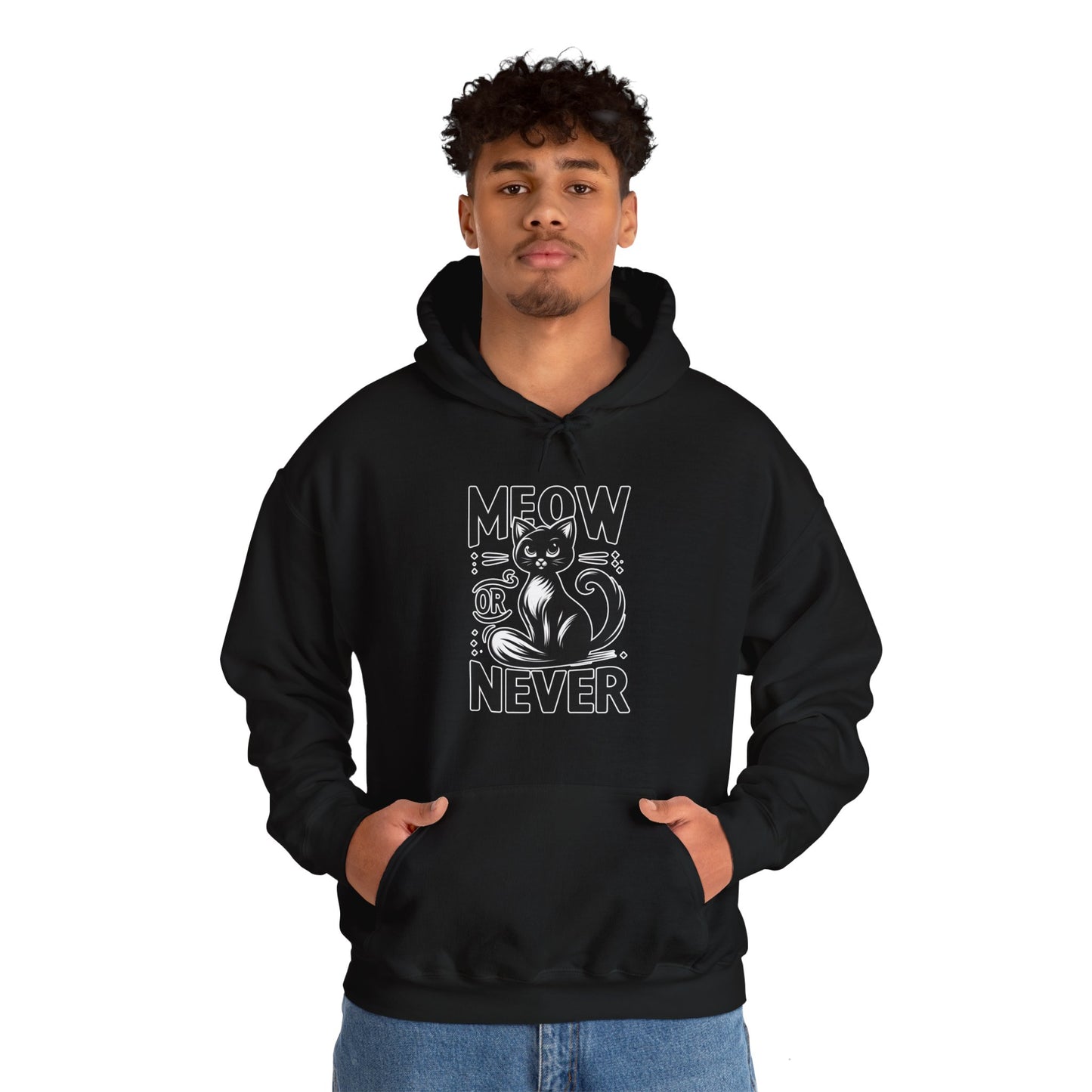 Meow or Never Hoodie