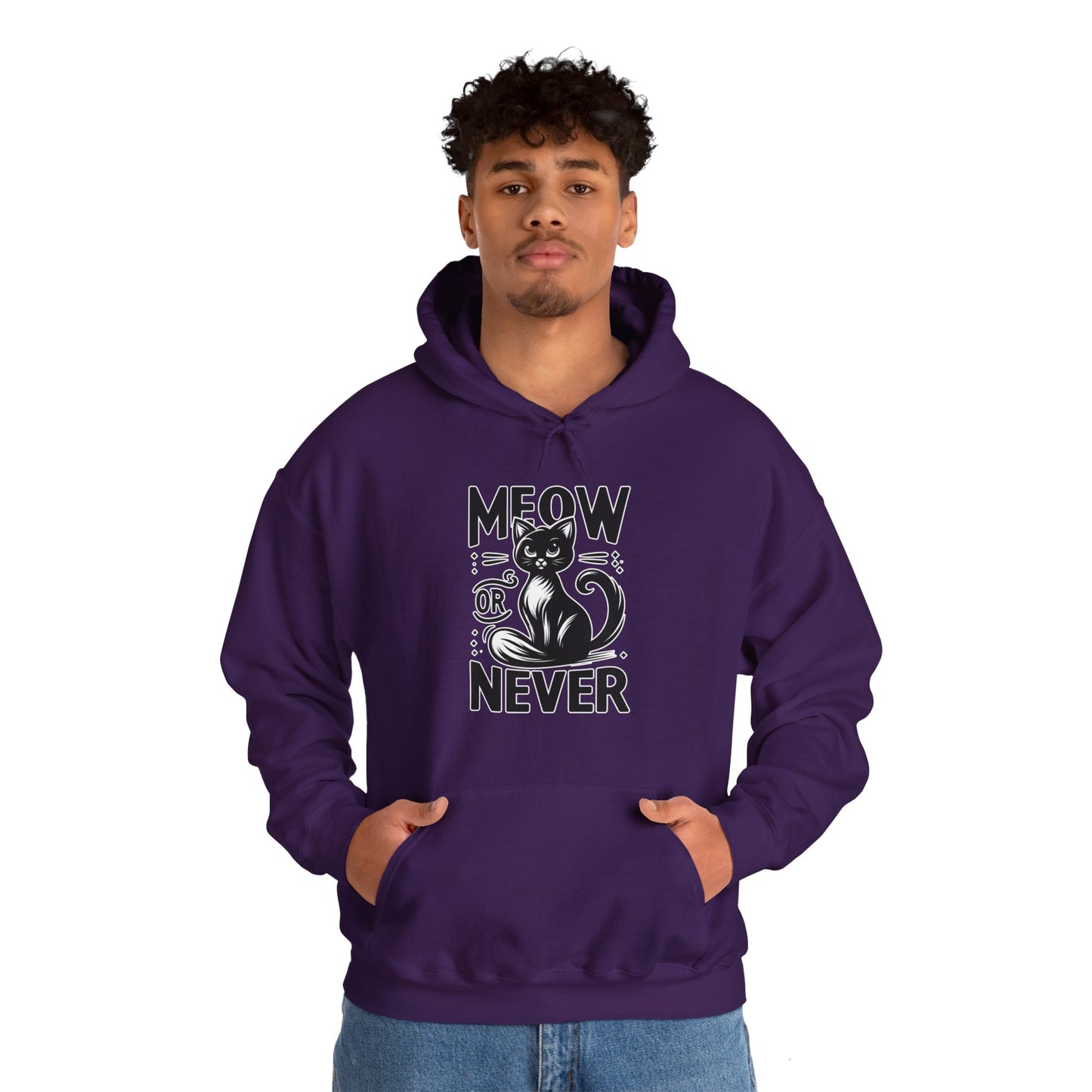 Meow or Never Hoodie