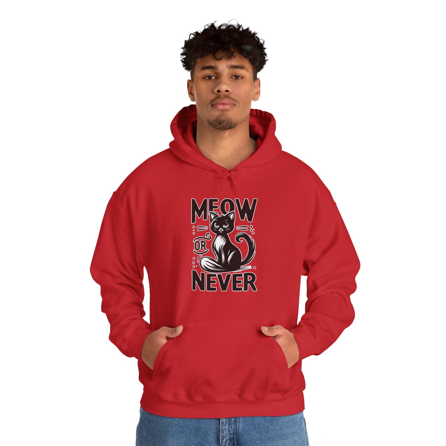Meow or Never Hoodie
