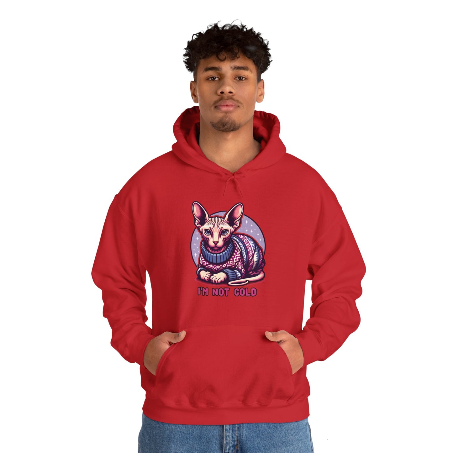 Sweater Cat Hoodie