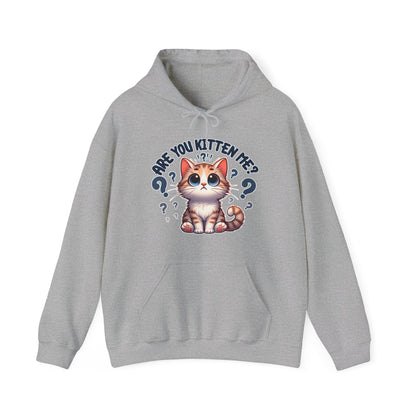 Are You Kitten Me? Gender-Neutral Hoodie