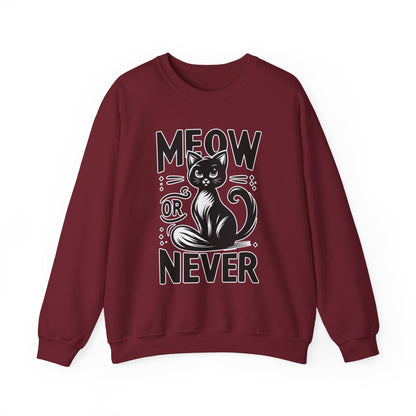 Meow or Never Sweatshirt