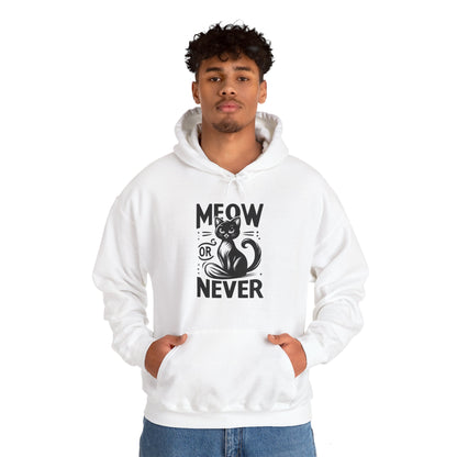 Meow or Never Hoodie