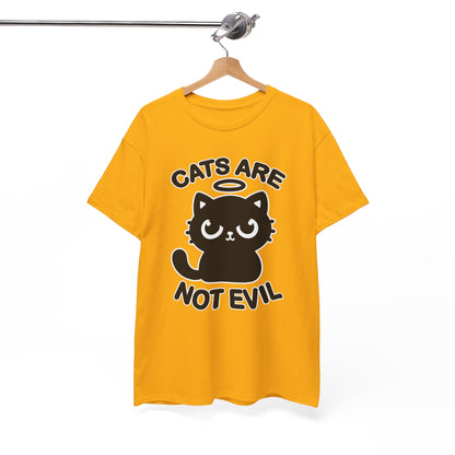 Cats are Not Evil T-Shirt