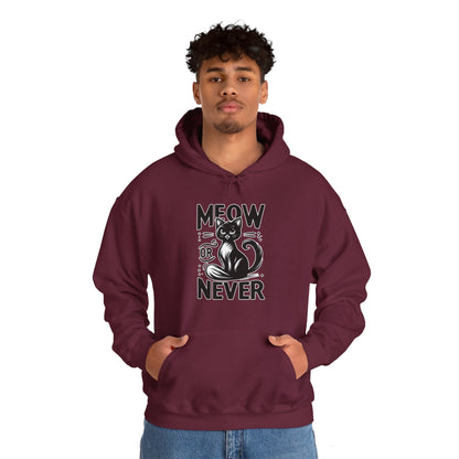Meow or Never Hoodie