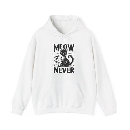 Meow or Never Hoodie