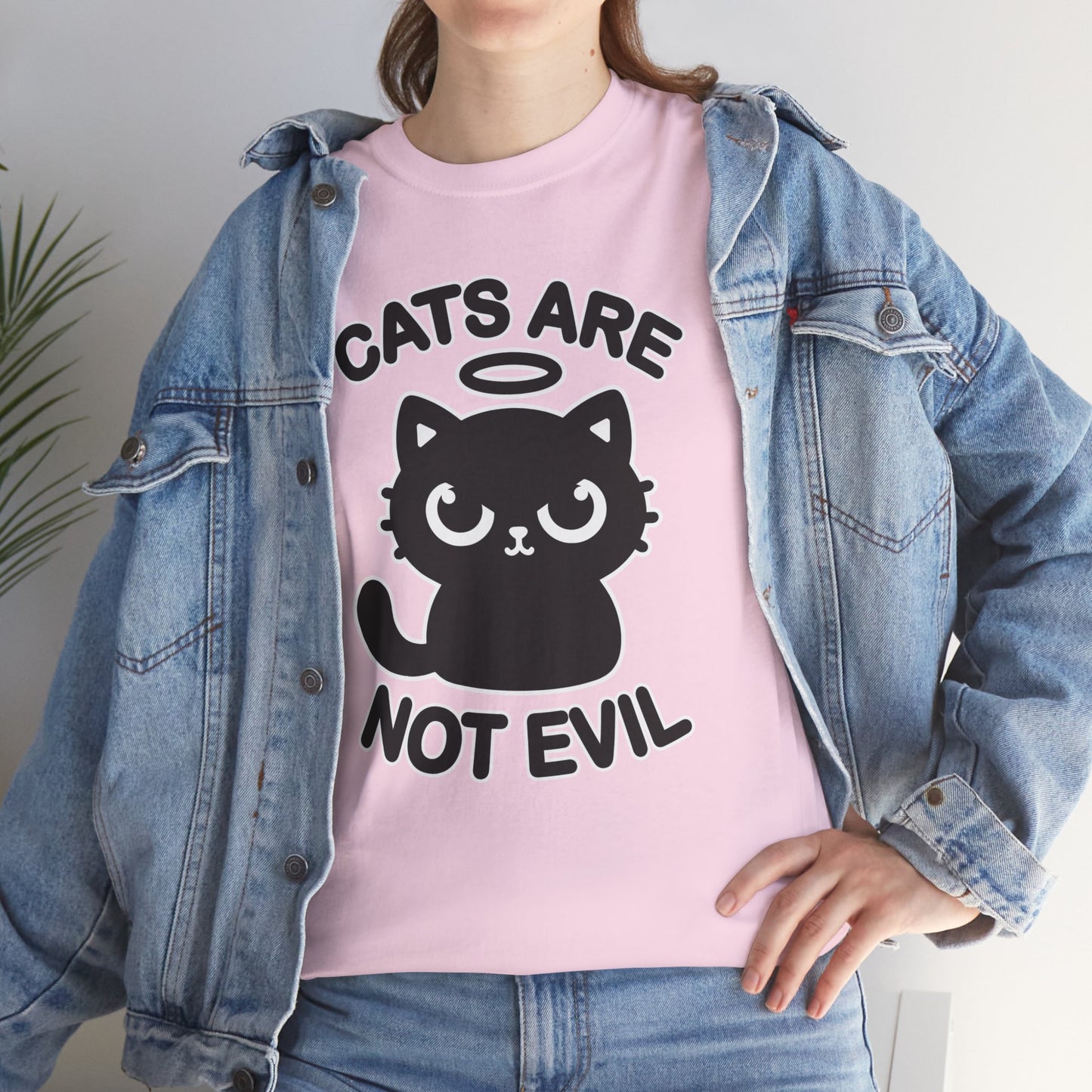 Cats are Not Evil T-Shirt