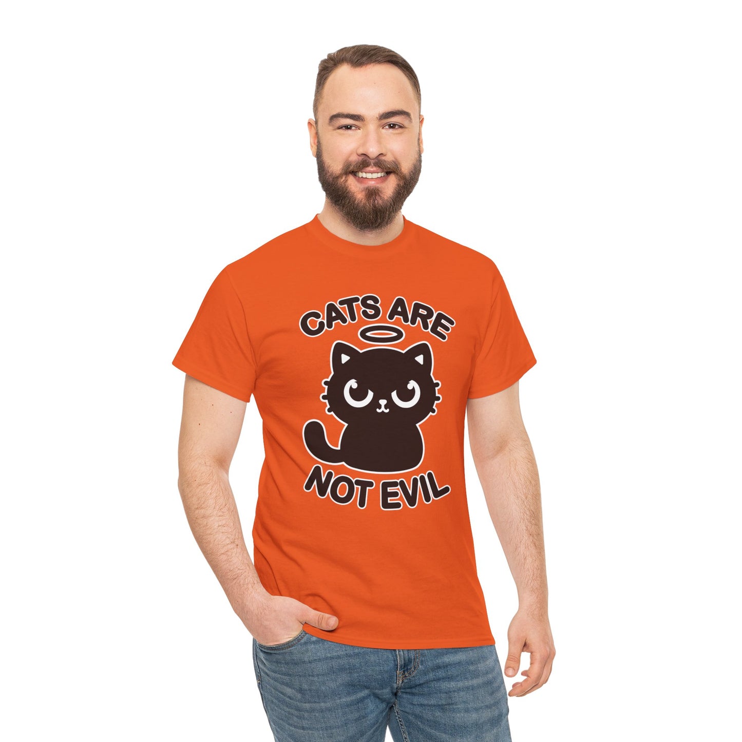 Cats are Not Evil T-Shirt