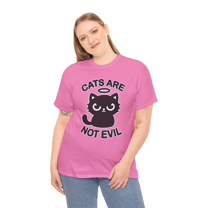 Cats are Not Evil T-Shirt