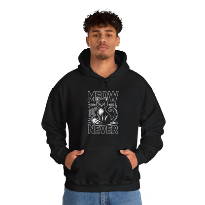 Meow or Never Hoodie