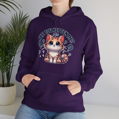 Are You Kitten Me? Gender-Neutral Hoodie