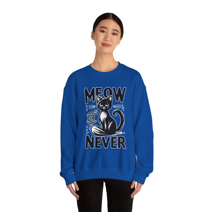 Meow or Never Sweatshirt