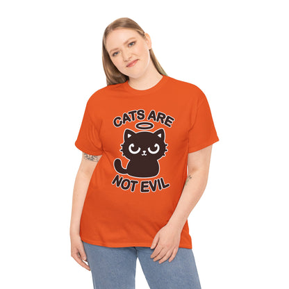 Cats are Not Evil T-Shirt