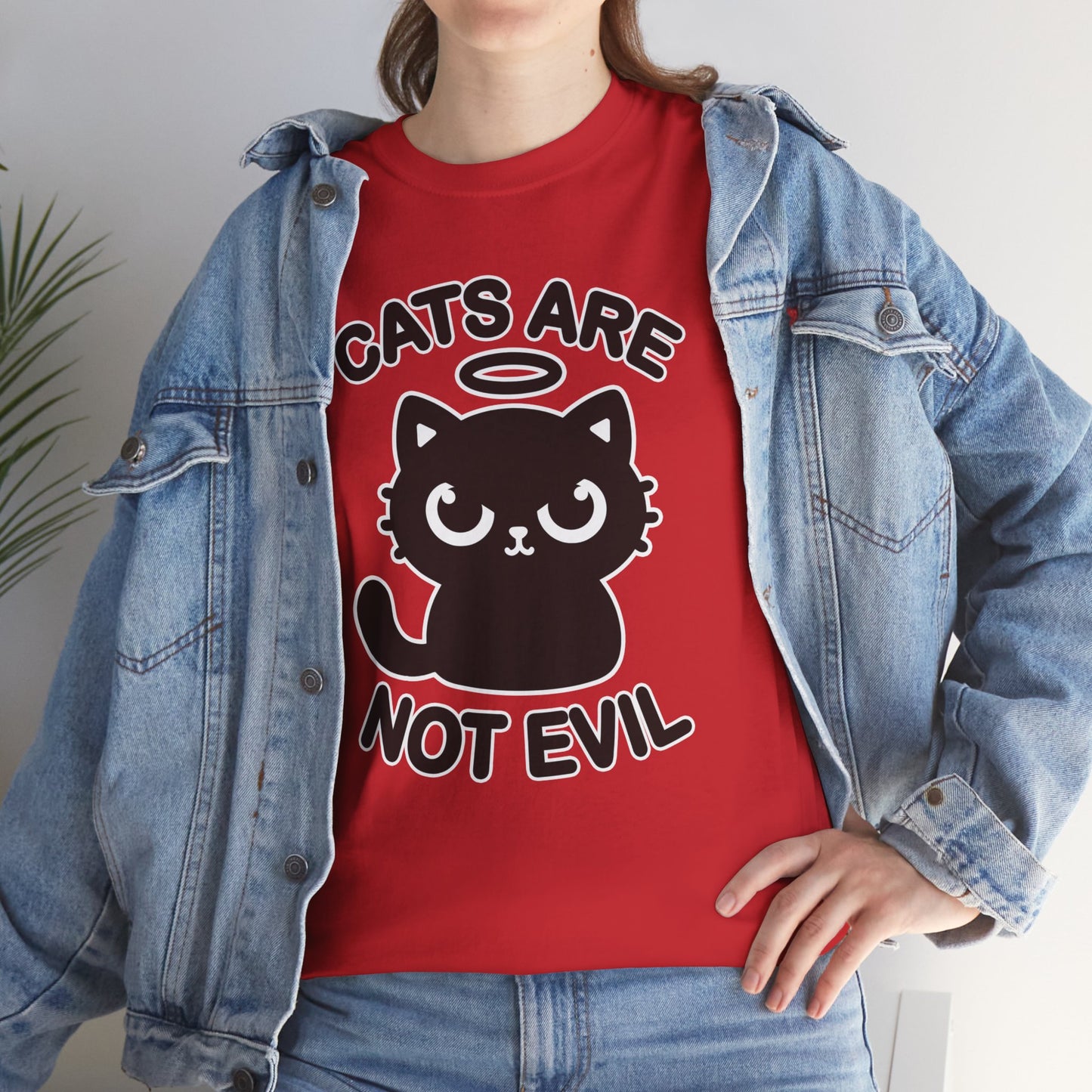 Cats are Not Evil T-Shirt