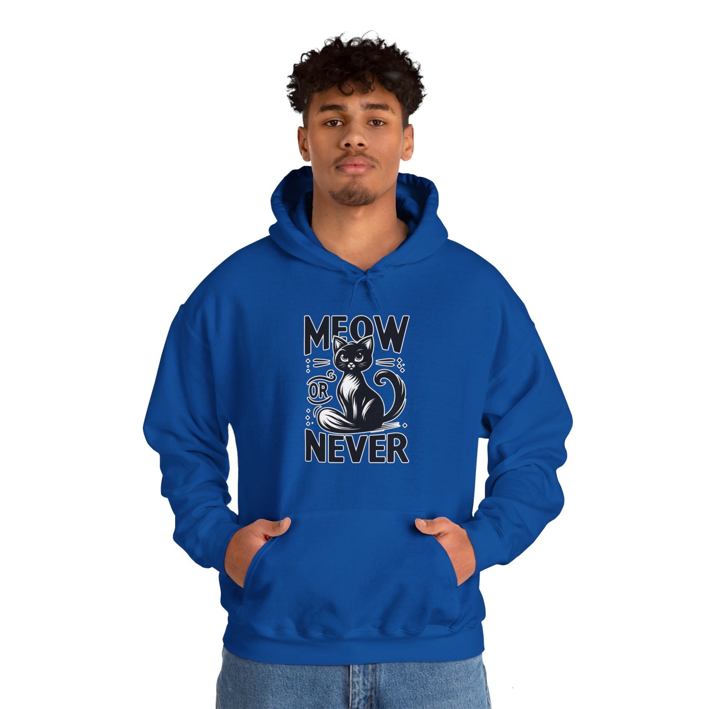 Meow or Never Hoodie