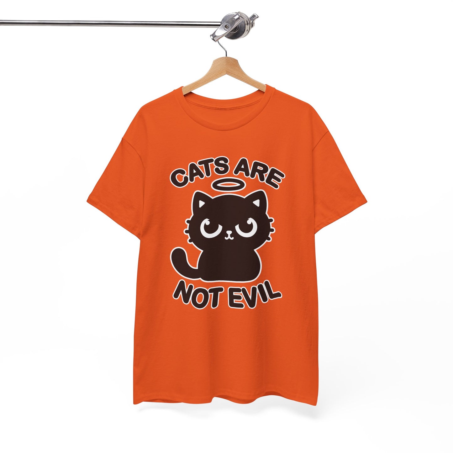 Cats are Not Evil T-Shirt