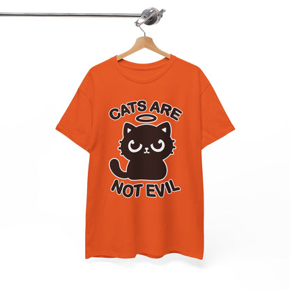 Cats are Not Evil T-Shirt