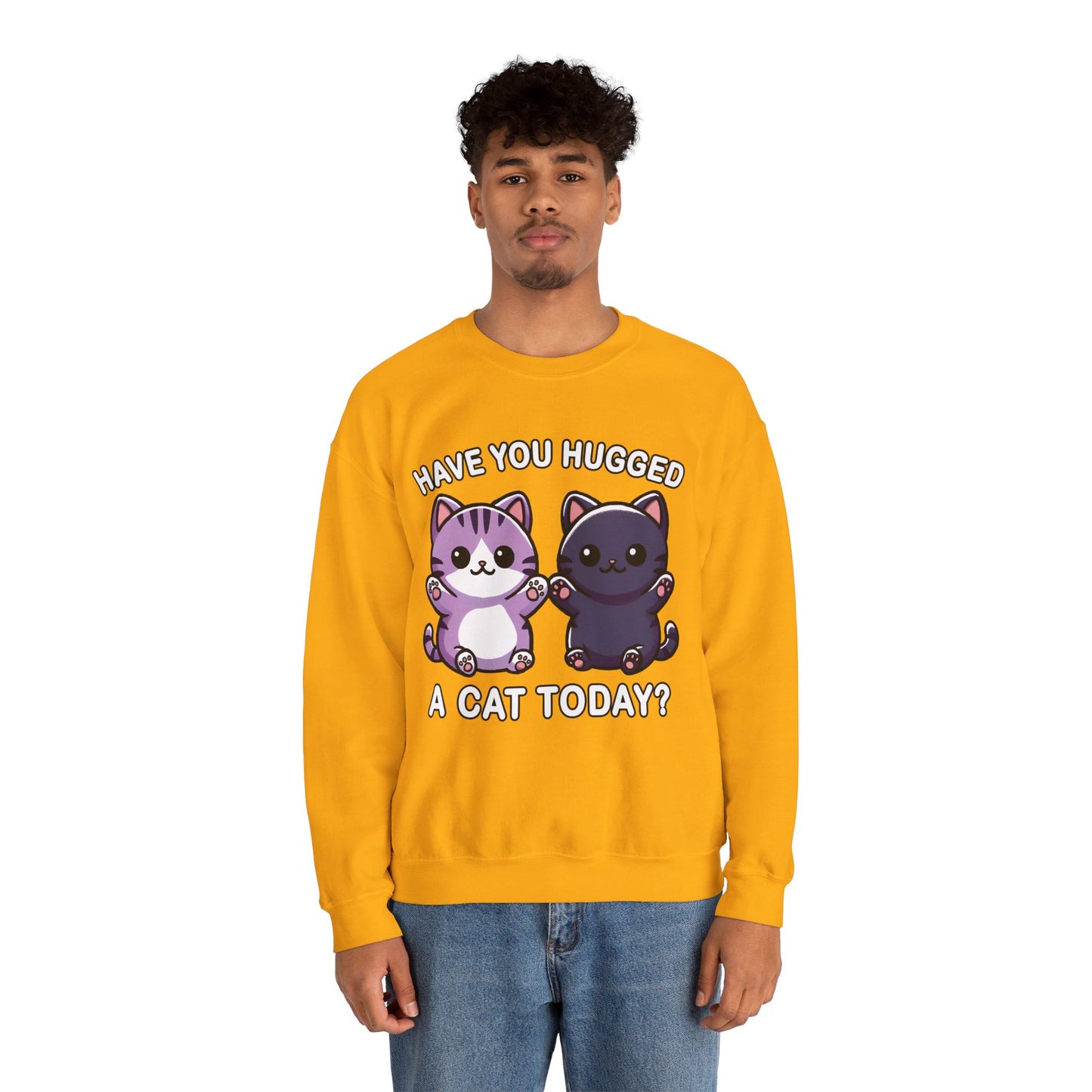 Have You Hugged a Cat Today? Sweatshirt