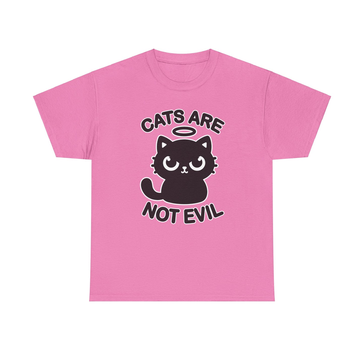 Cats are Not Evil T-Shirt