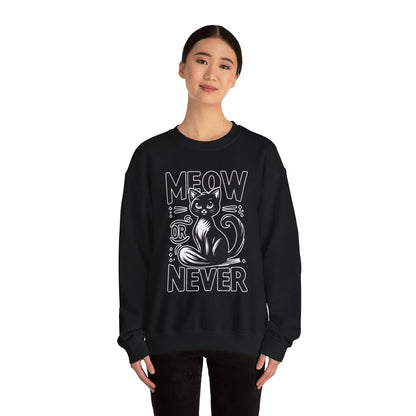 Meow or Never Sweatshirt