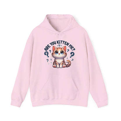 Are You Kitten Me? Gender-Neutral Hoodie