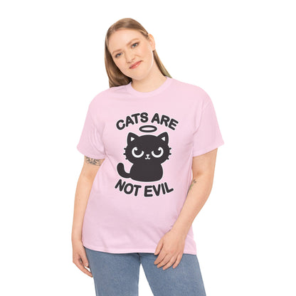 Cats are Not Evil T-Shirt